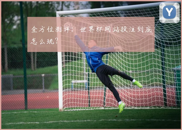 全方位测评：世界杯网站投注到底怎么玩？